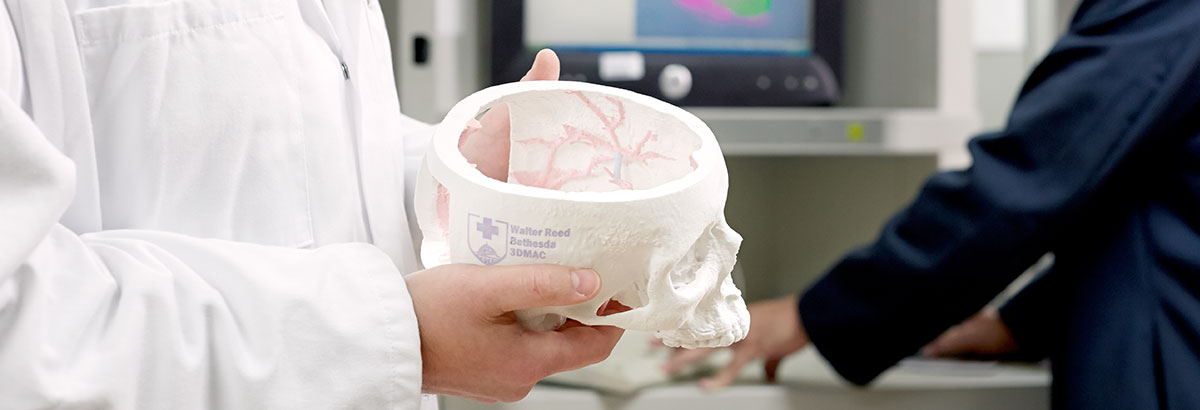 A military medical school student studies a model skull.