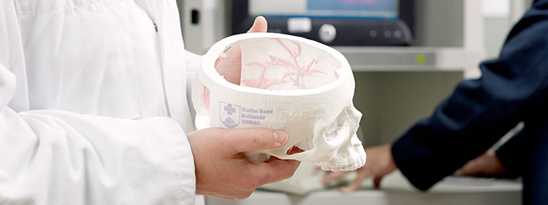 A military medical school student studies a model skull.