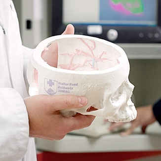 A military medical school student studies a model skull. A military medical school student studies a model skull.