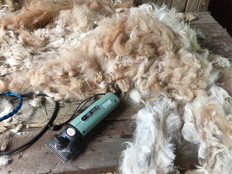 pile of wool on table