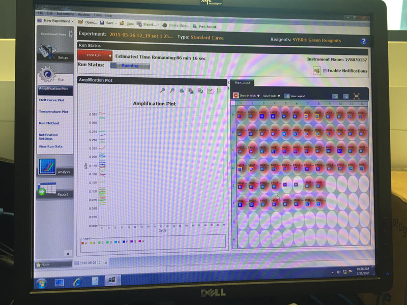 Computer screen showing protein profiles 