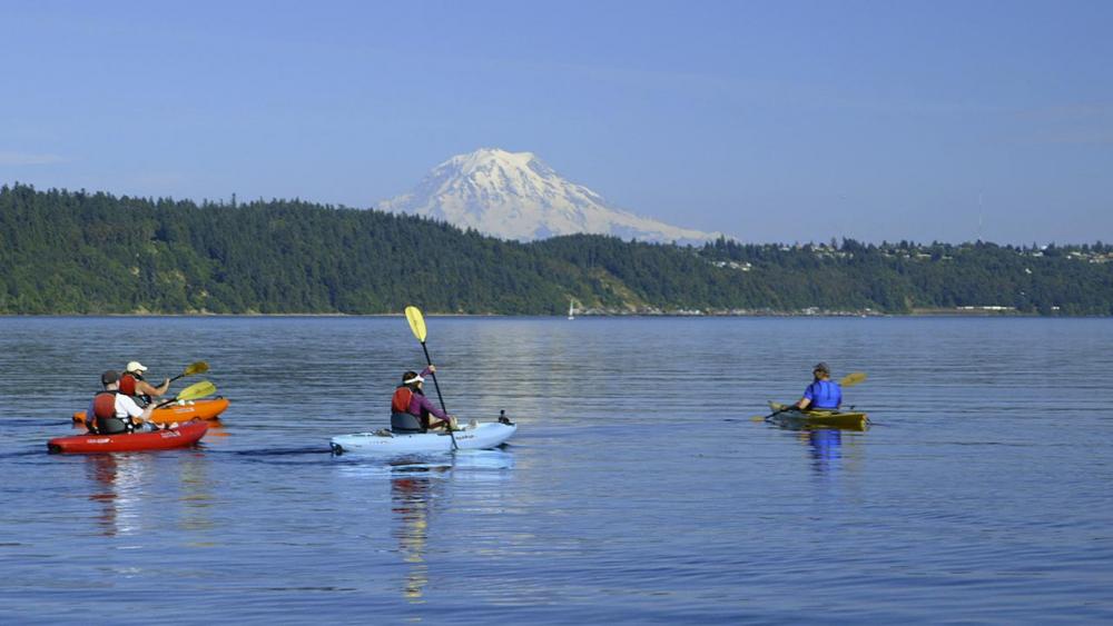 Kayakers on Gig Harbor with Mt. Rainer in the background 