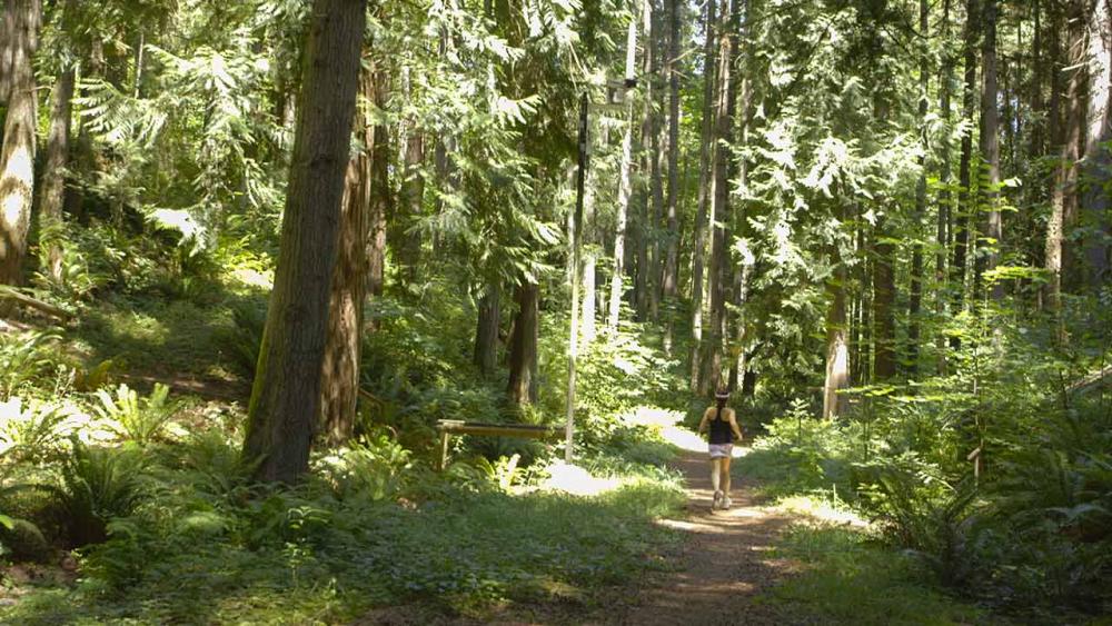 Josephine running in woods 